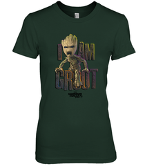 Marvel Guardians Vol Women's Premium T-Shirt Women's Premium T-Shirt - skytshirtshop