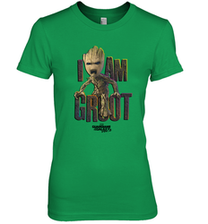 Marvel Guardians Vol Women's Premium T-Shirt