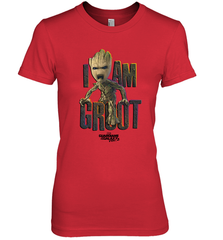 Marvel Guardians Vol Women's Premium T-Shirt Women's Premium T-Shirt - skytshirtshop