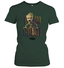 Marvel Guardians Vol Women's T-Shirt Women's T-Shirt - skytshirtshop