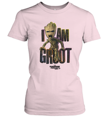 Marvel Guardians Vol Women's T-Shirt Women's T-Shirt - skytshirtshop